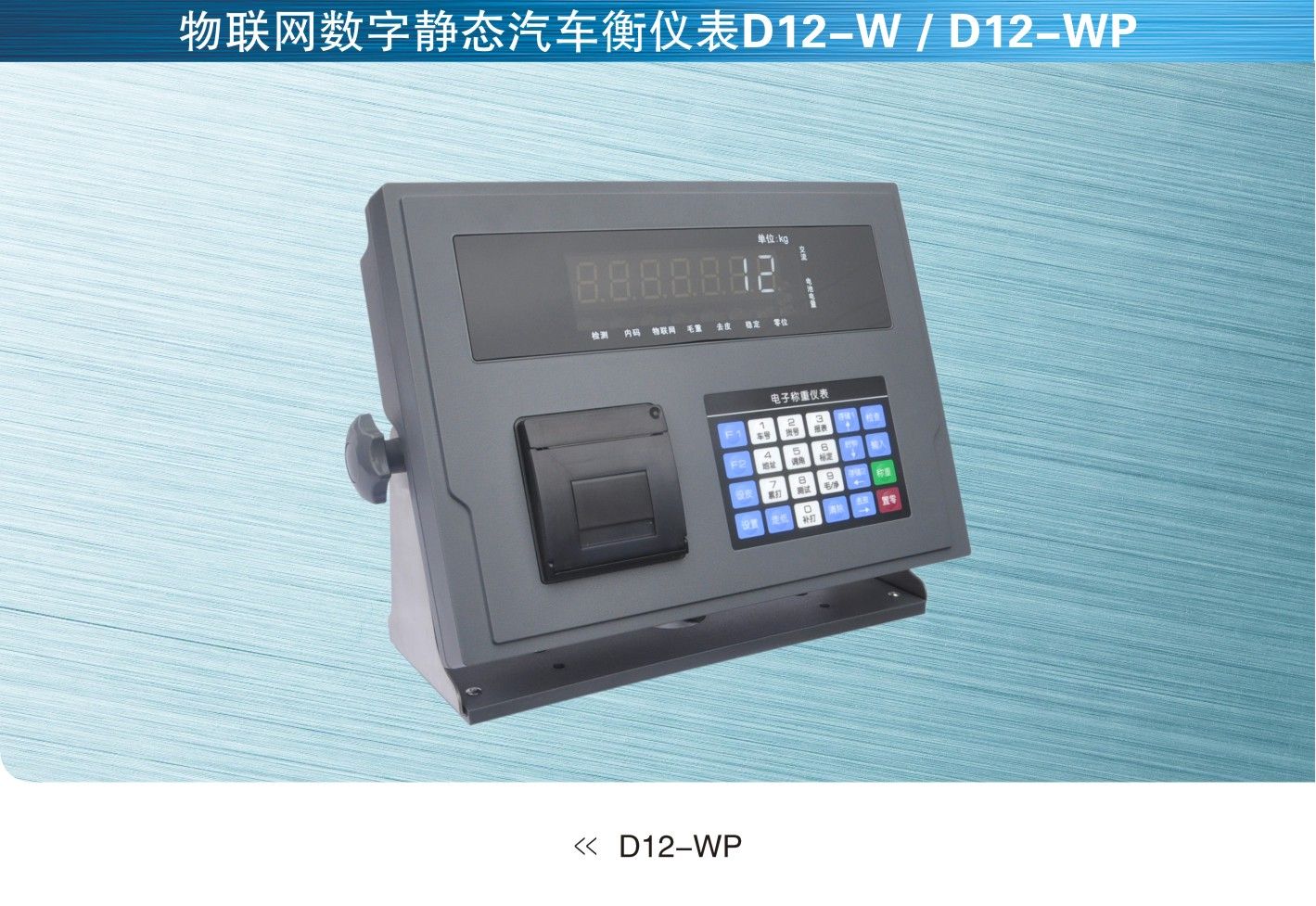 物聯(lián)網(wǎng)儀表D12